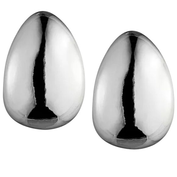 Anne Klein Shimmering Silver Earrings - Picture 1 of 5